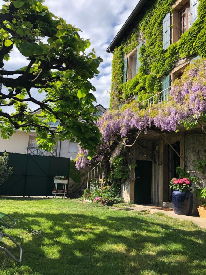 Le Clos Des Fontaines, A 5 Mn Du Lac Тонон-ле-Бен Екстериор снимка